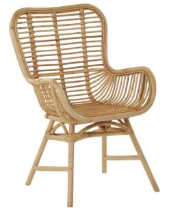 Rattan Accent Chair Natural TOGO