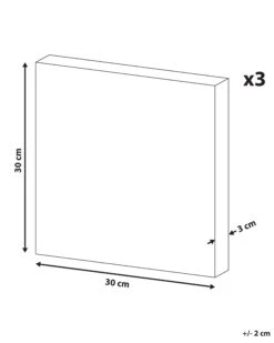 Set Of 3 Animals Canvas Art Prints 30 X 30 Cm Multicolour MENAKA -Cheap Furniture Store undef src sa picid 819721 type whitesh image