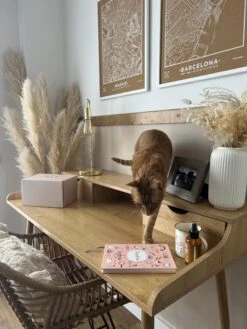 2 Drawer Home Office Desk With Shelf 120 X 60 Cm Light Wood LENORA -Cheap Furniture Store undef src sa picid 824481 type whitesh image