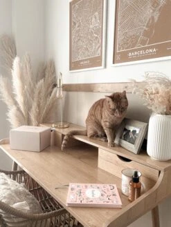 2 Drawer Home Office Desk With Shelf 120 X 60 Cm Light Wood LENORA -Cheap Furniture Store undef src sa picid 824786 type whitesh image