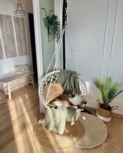 Hanging Chair Stand Black STAN -Cheap Furniture Store undef src sa picid 851273 type whitesh image